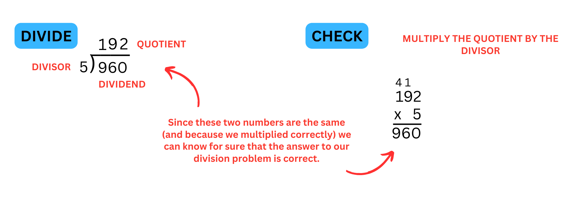Division Xcheck Triple-Digit Division - K12 Math Worksheets